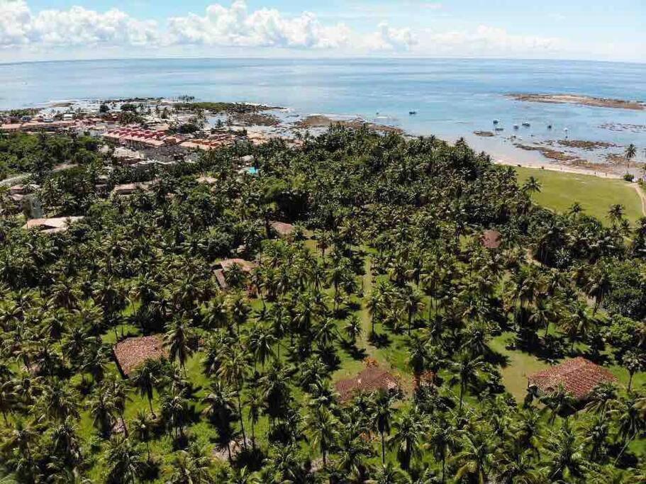 Casinha Jardim Das Palmeiras Morro de São Paulo Dış mekan fotoğraf