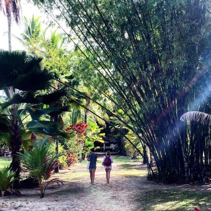 Casinha Jardim Das Palmeiras Morro de São Paulo Dış mekan fotoğraf