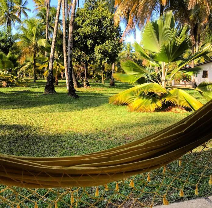 Casinha Jardim Das Palmeiras Morro de São Paulo Dış mekan fotoğraf